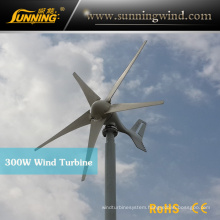 Sunning Mini Serires 300W Wind Generator